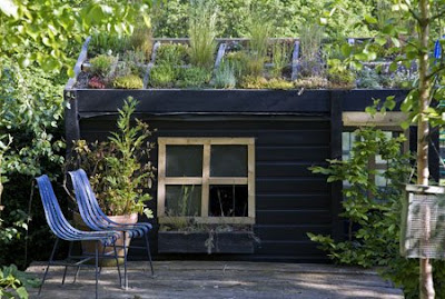Shedworking: How to put a green roof on your shed