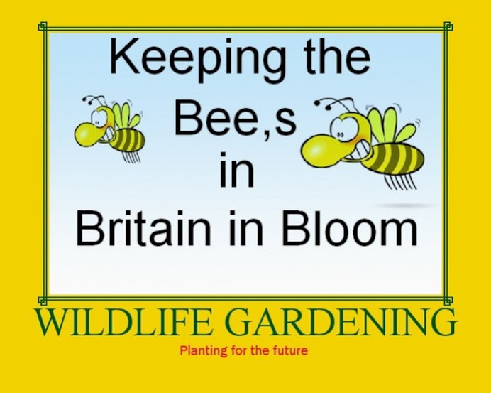 "Keeping the Bees in Britain in Bloom" Summers 2007/8/9