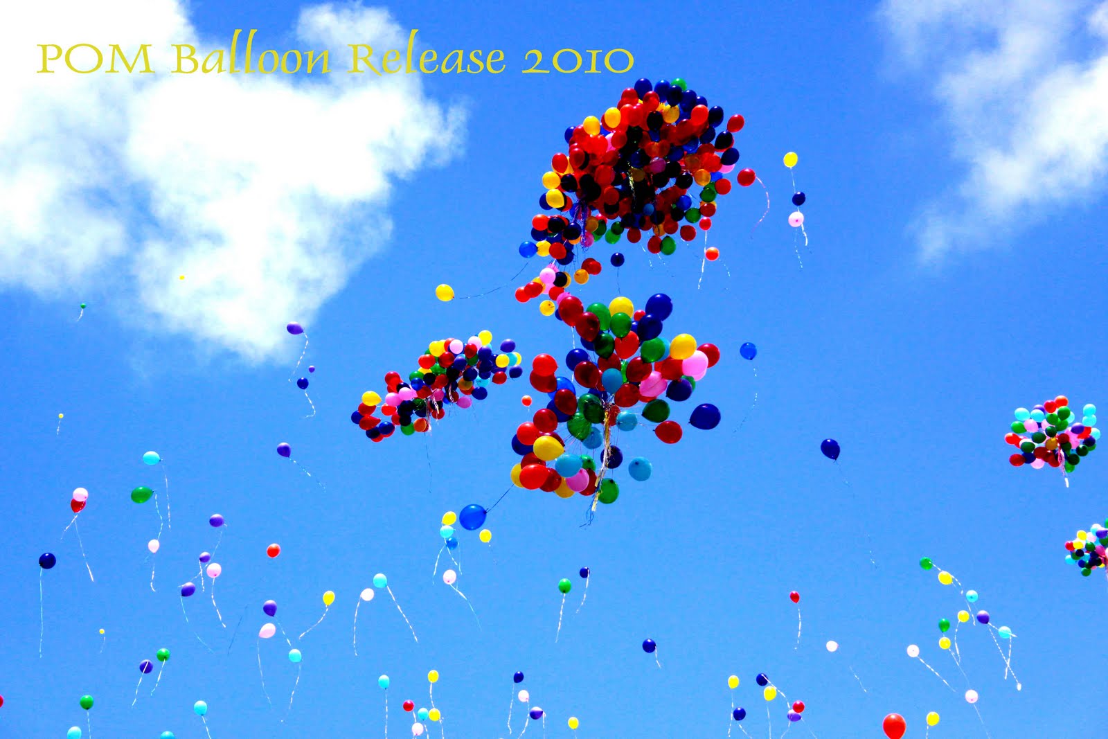 MOMENTS THAT LAST POM Balloon Release 2010