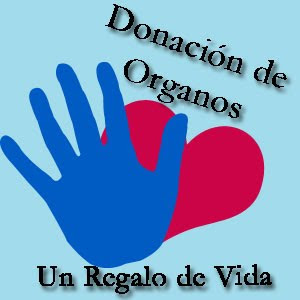 http://2.bp.blogspot.com/_wC_n2PBbuBk/SxQymd9--mI/AAAAAAAAAAM/pXfVvkdinQo/s1600/1.bmp
CTRL + clic para seguir el vínculo