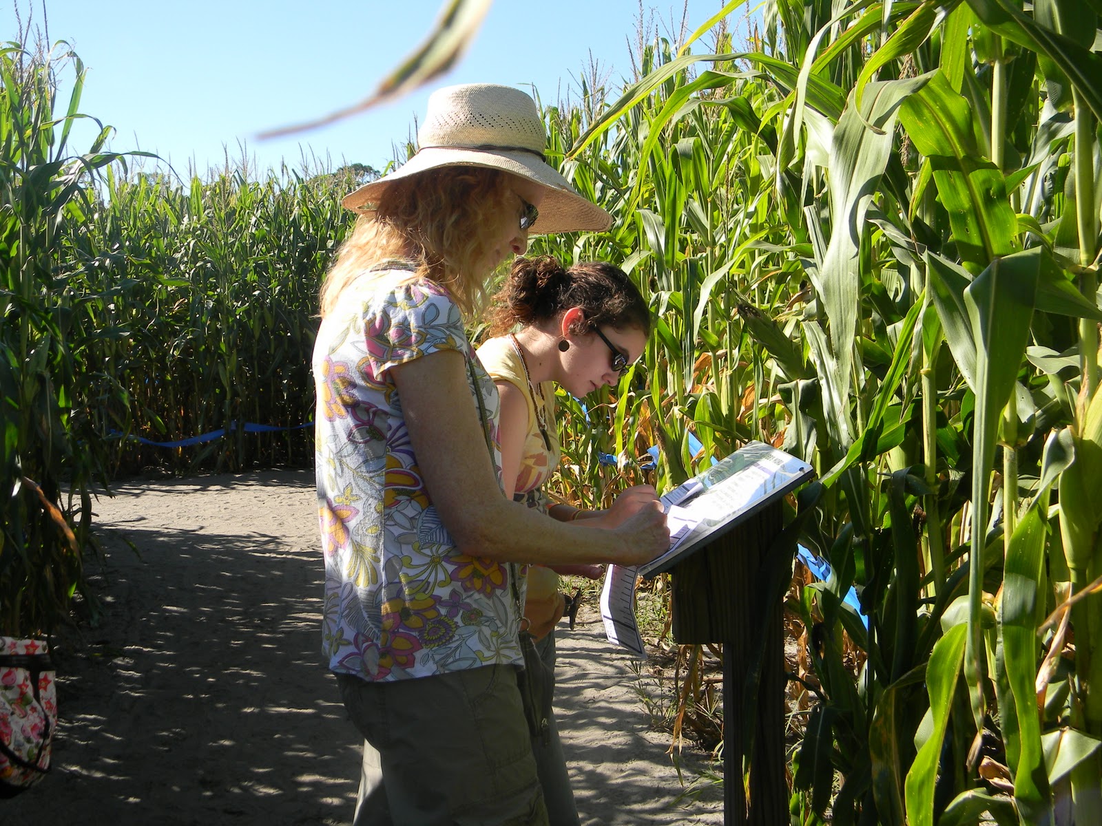 The "Unknown" Florida Zellwood Corn Maze Long & Scott's Farm