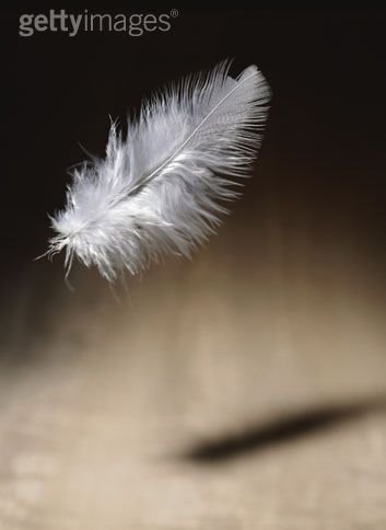 [fallin+feather.bmp]