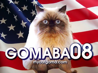 [American-Flag-goma-600x800.jpg]