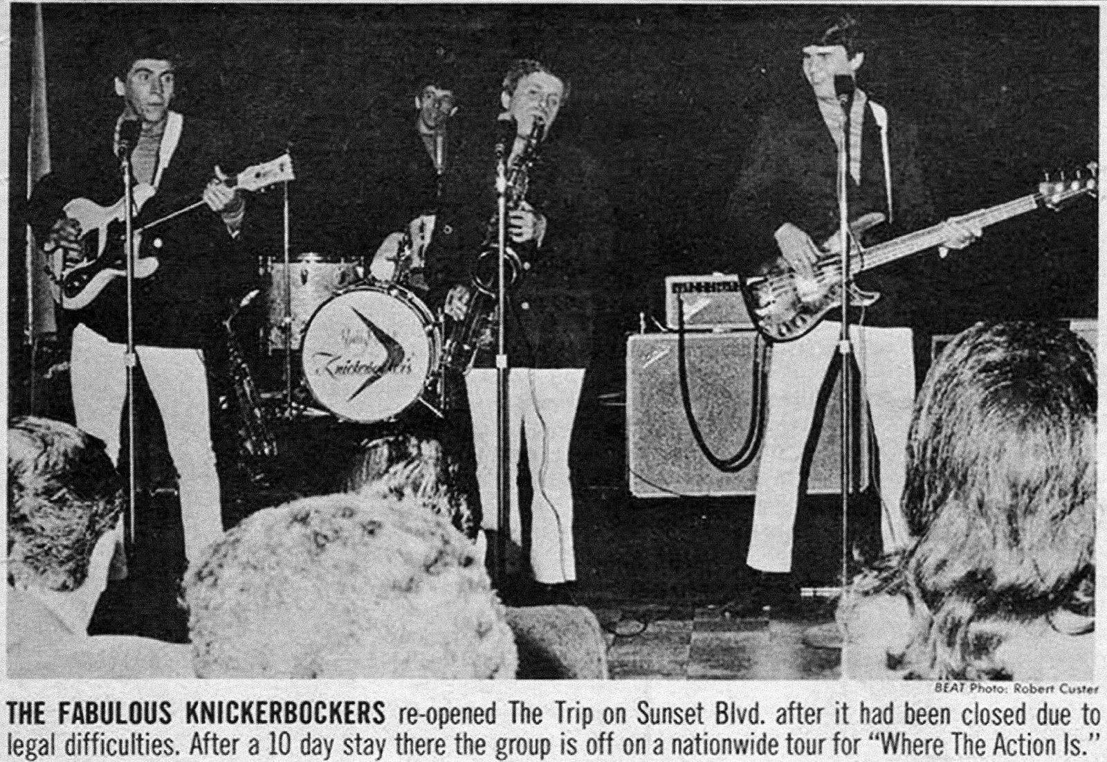 My Collections The Knickerbockers