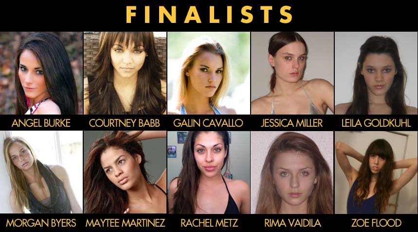 Model Search for Cycle 15!