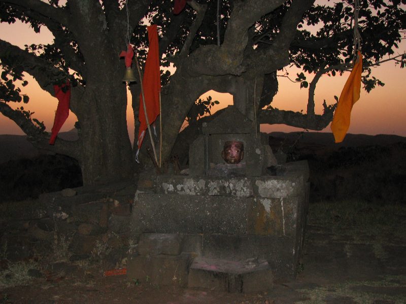 Salher Mulher