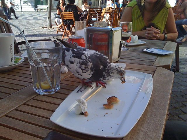 [IMG_0029+[640x480]-761906.JPG]