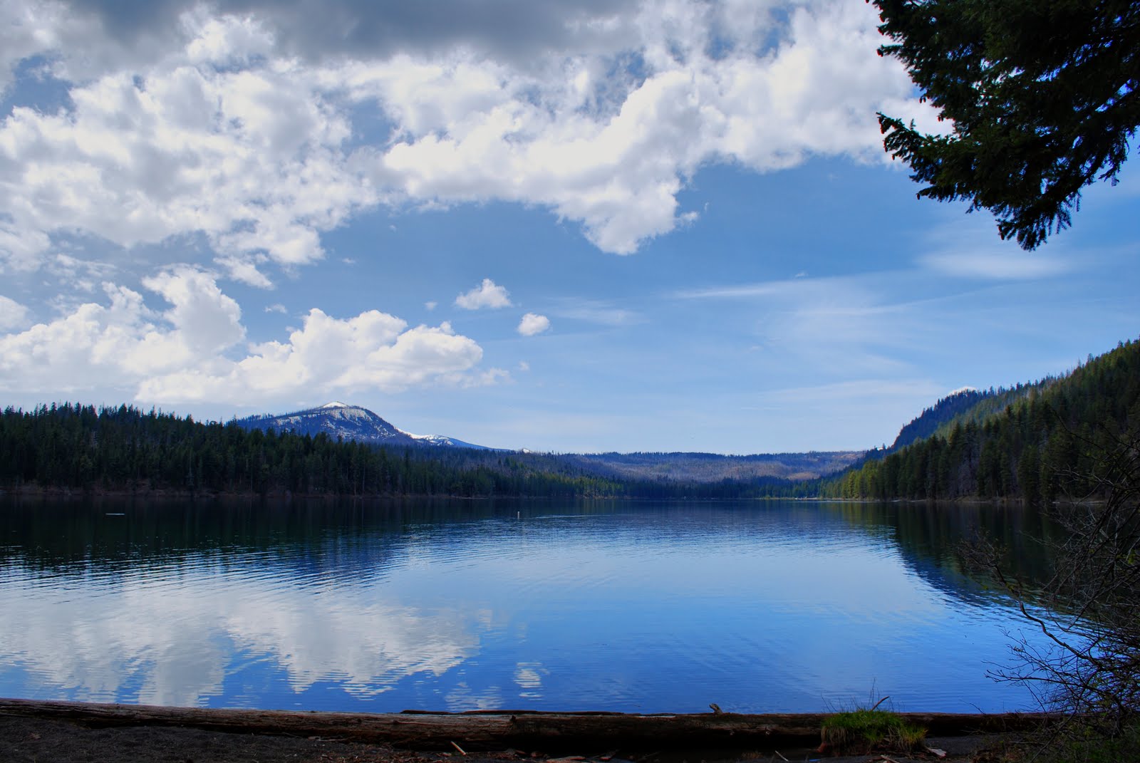 Suttle Lake