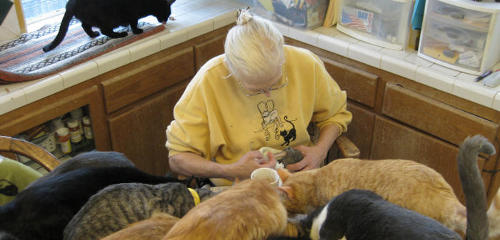 Confessions: Animal Hoarding - amazoncom