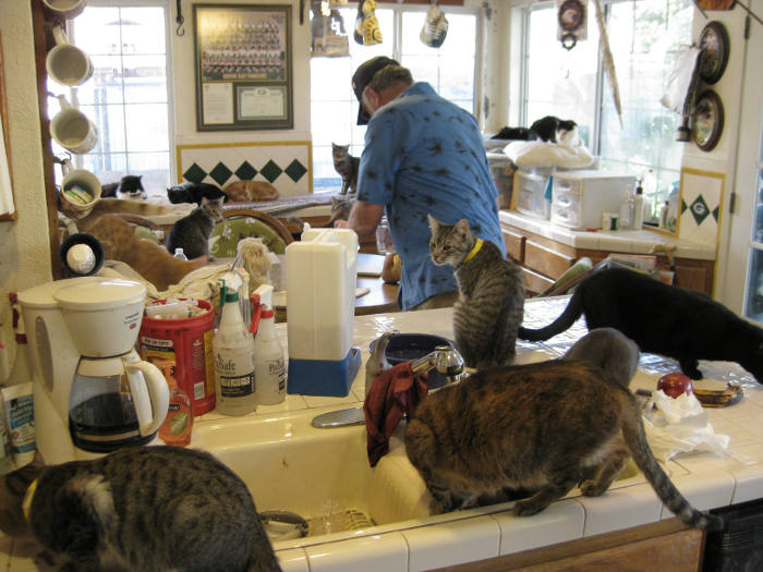 Confessions: Animal Hoarding - Season 1 - IMDb