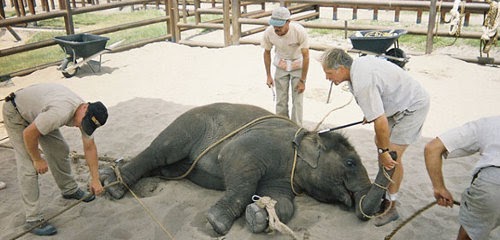 Atlanta Falcons star Tony Gonzalez pens letter in support