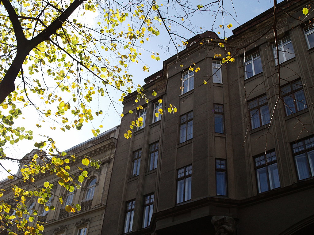 [PA180521.JPG]