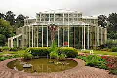 The Butterfly Exhibit