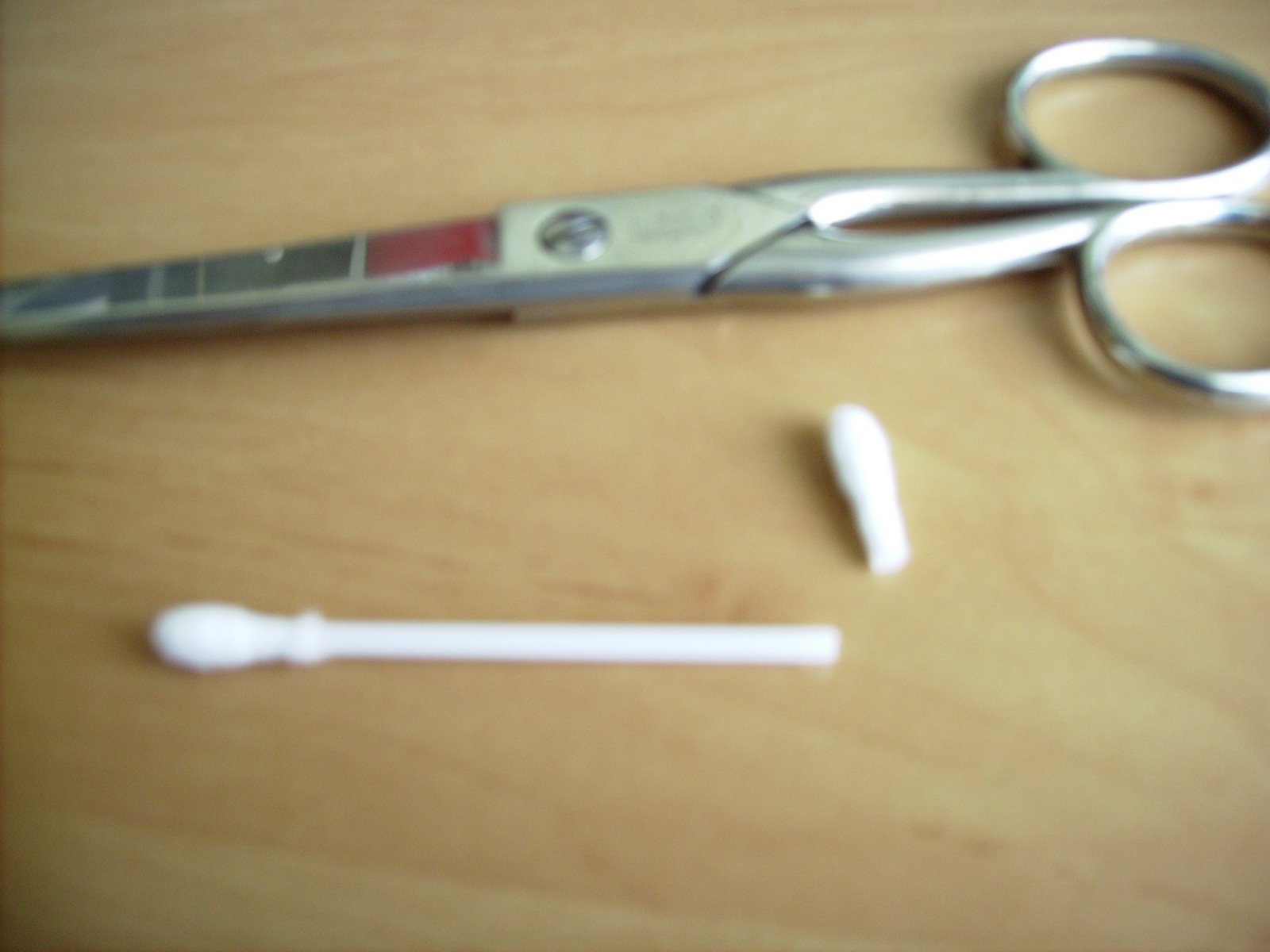[PICT0516.JPG]