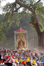 Boletín TAMAR 2010