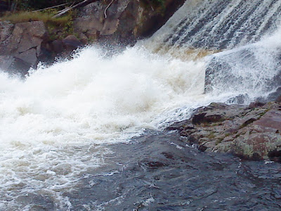 nätdejting zoosk medlemskap