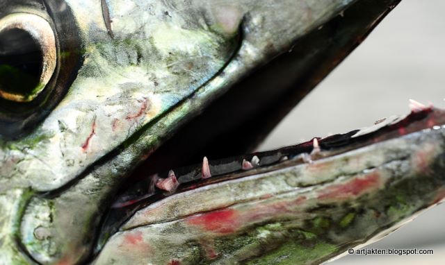 snygga killar singel dejt