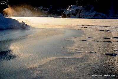 dejtingsajter antal medlemmar partier