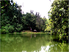 Panorama Telaga Warna