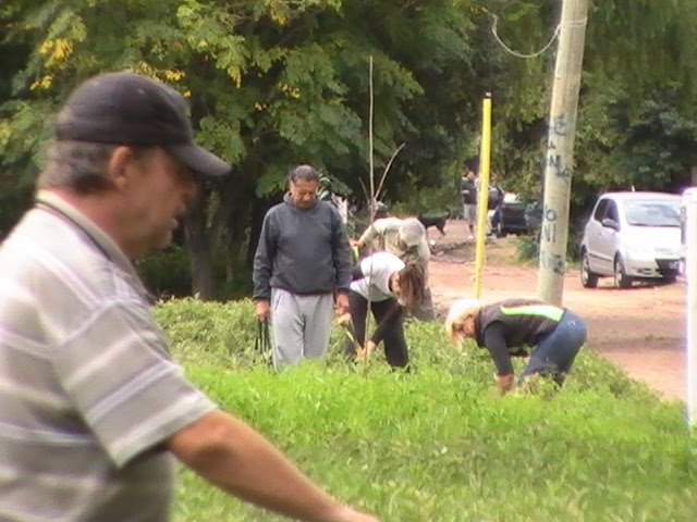 Vecinos plantando Árboles