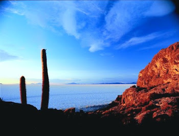 Vista del Salar de Uyuní