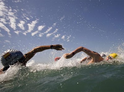 [Diego+Nogueira.jpg]