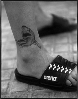 [open+water+swimming+tattoos.gif]