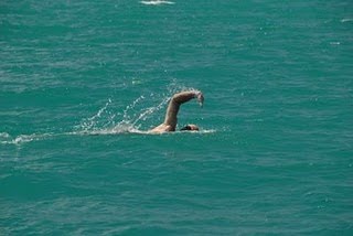 A Bear Of A Swim By James Jonssons Wowsa