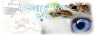 ! RABBIT IN THE WEB !