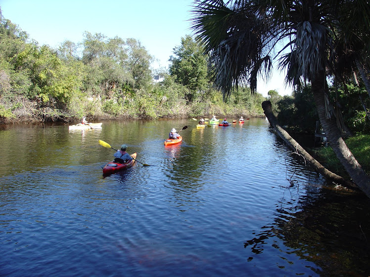 Kayaks  on Alligator Creek
