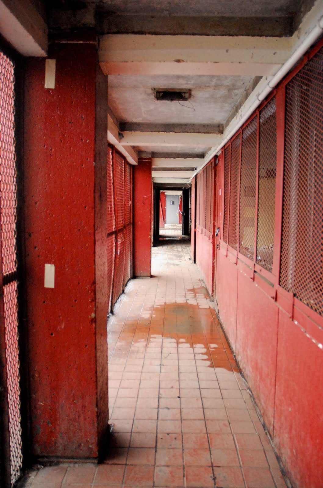 College No.9 | Chicago Gousters.