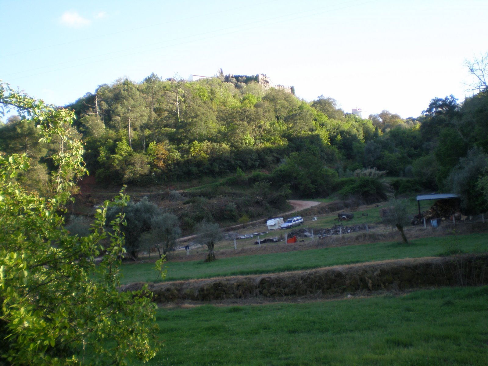 [P4120188.JPG]