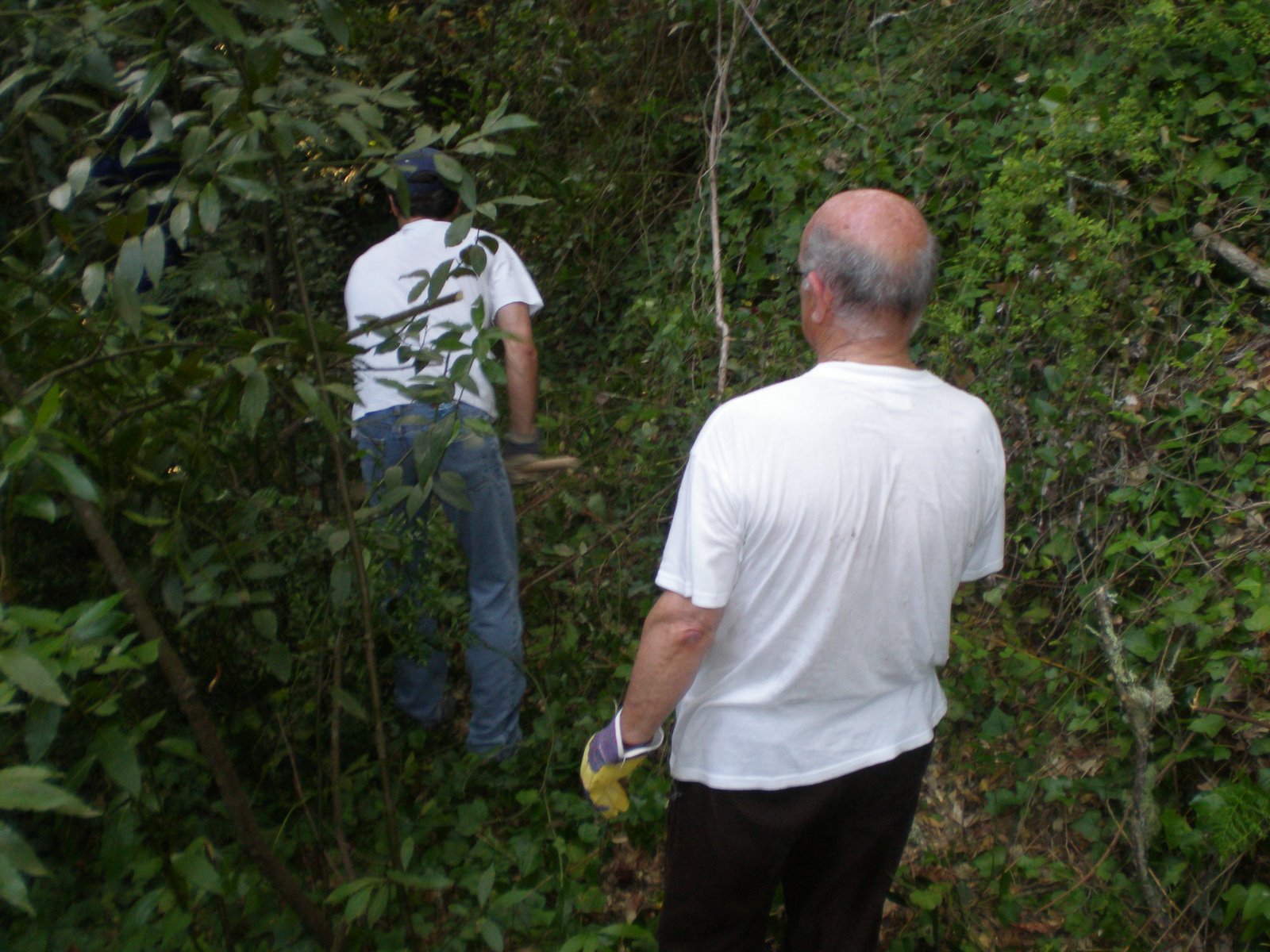 [P5300082.JPG]