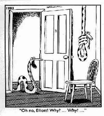 [ Myriad Pictures ]: Random Funny Cartoons