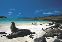 Islas Galapagos