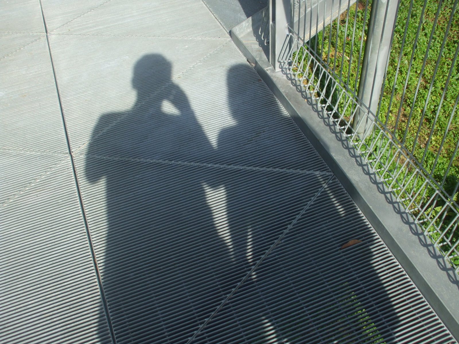 [DSCF3567.JPG]