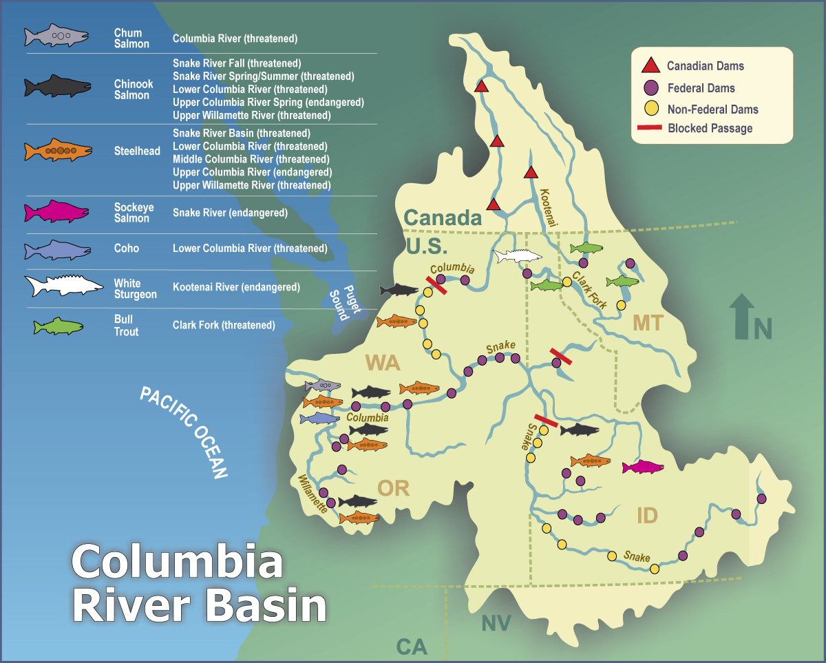 law legislation and environmental justice columbia basin fish accords