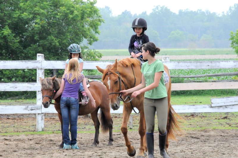 [June,09+grad,garden,horse+414.JPG]