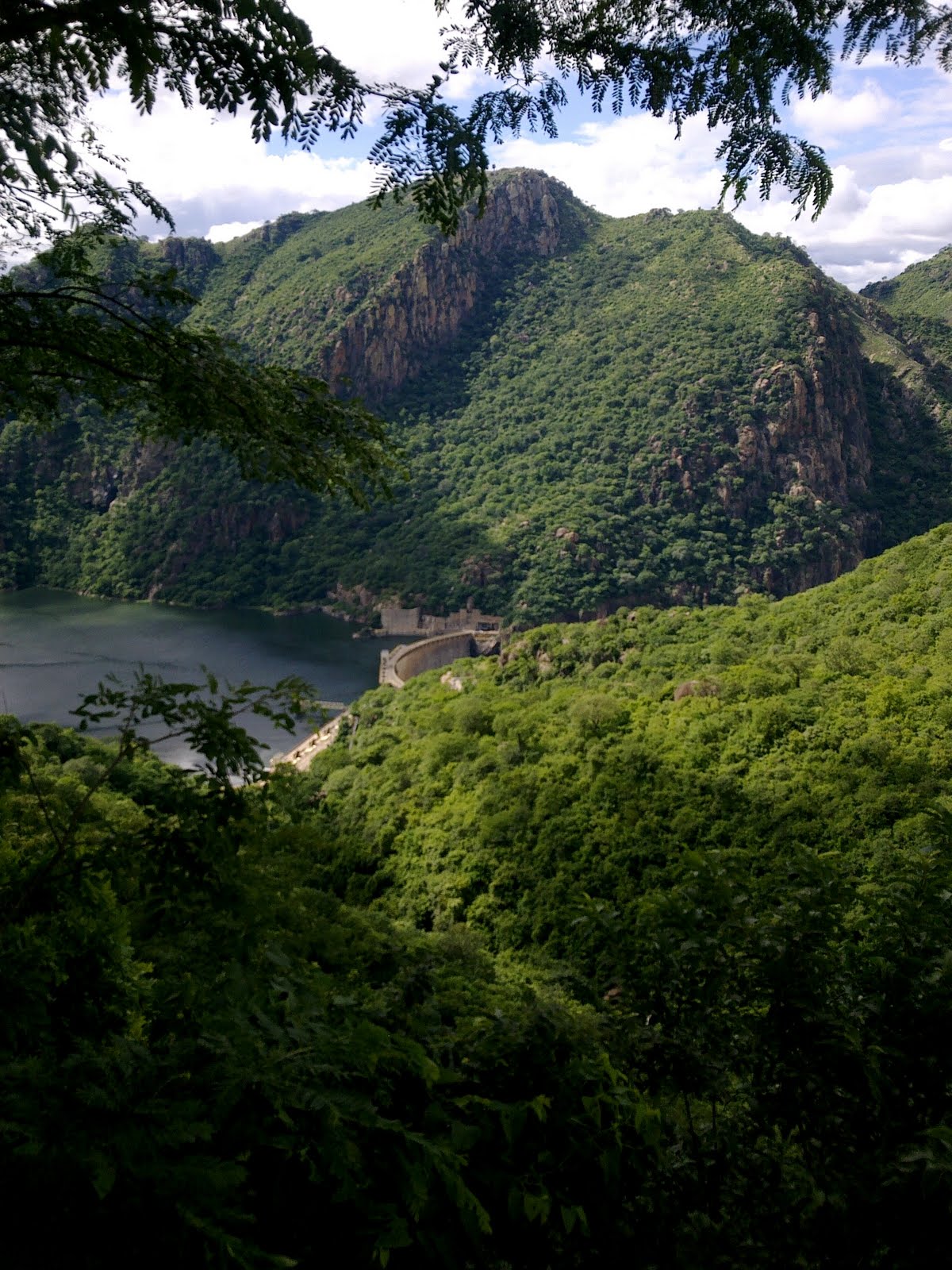 [04032010086.jpg]