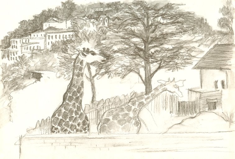 [zoogiraffe.jpg]