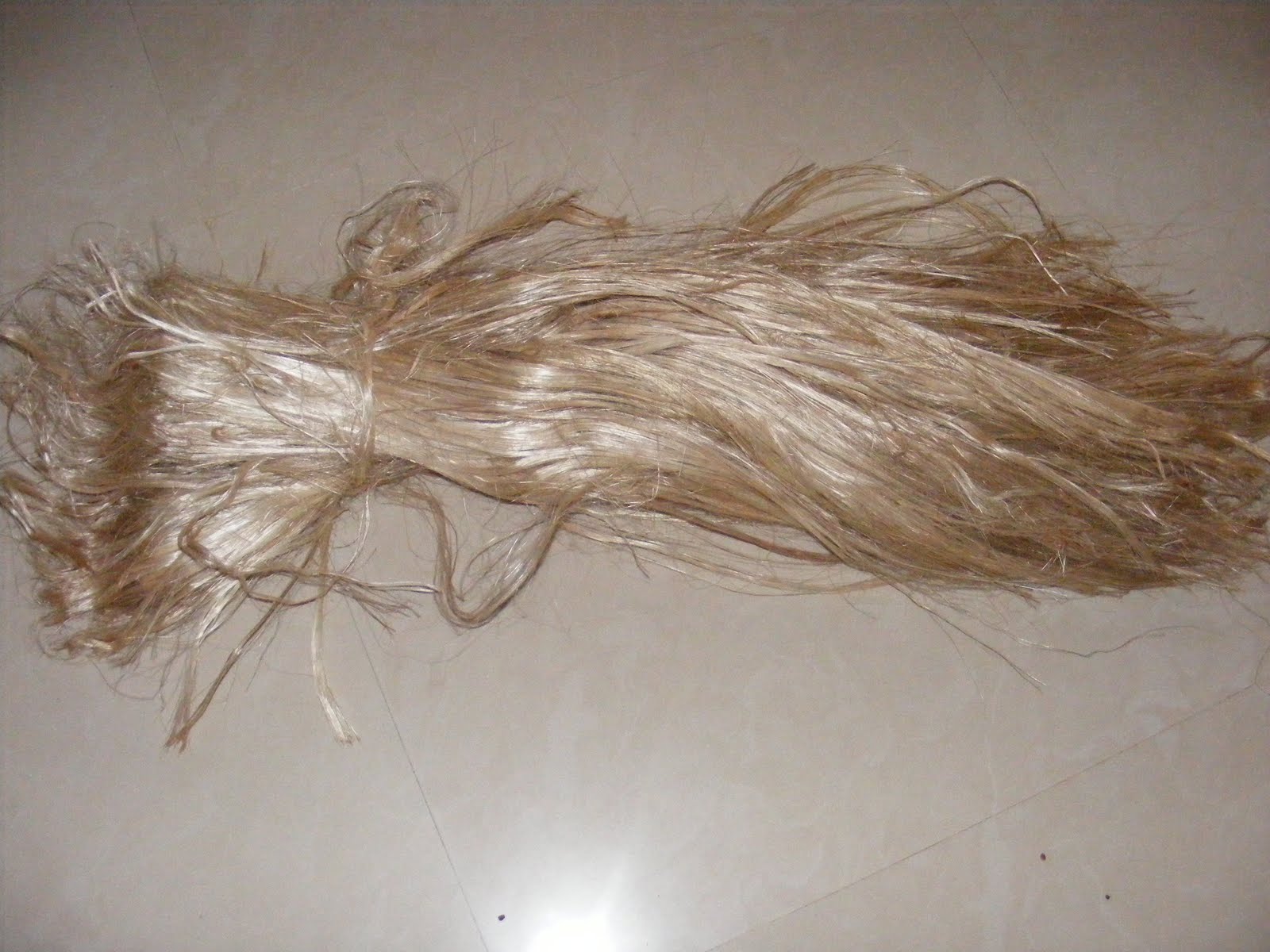 Eco Green Unit Banana Fibre extraction training [hand spun]for women