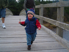 Ona Beach Bridge