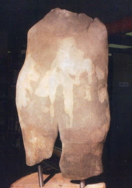 Female Torso