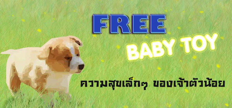 FREE BABY TOY รวมของฟรีสำหรับเด็ก