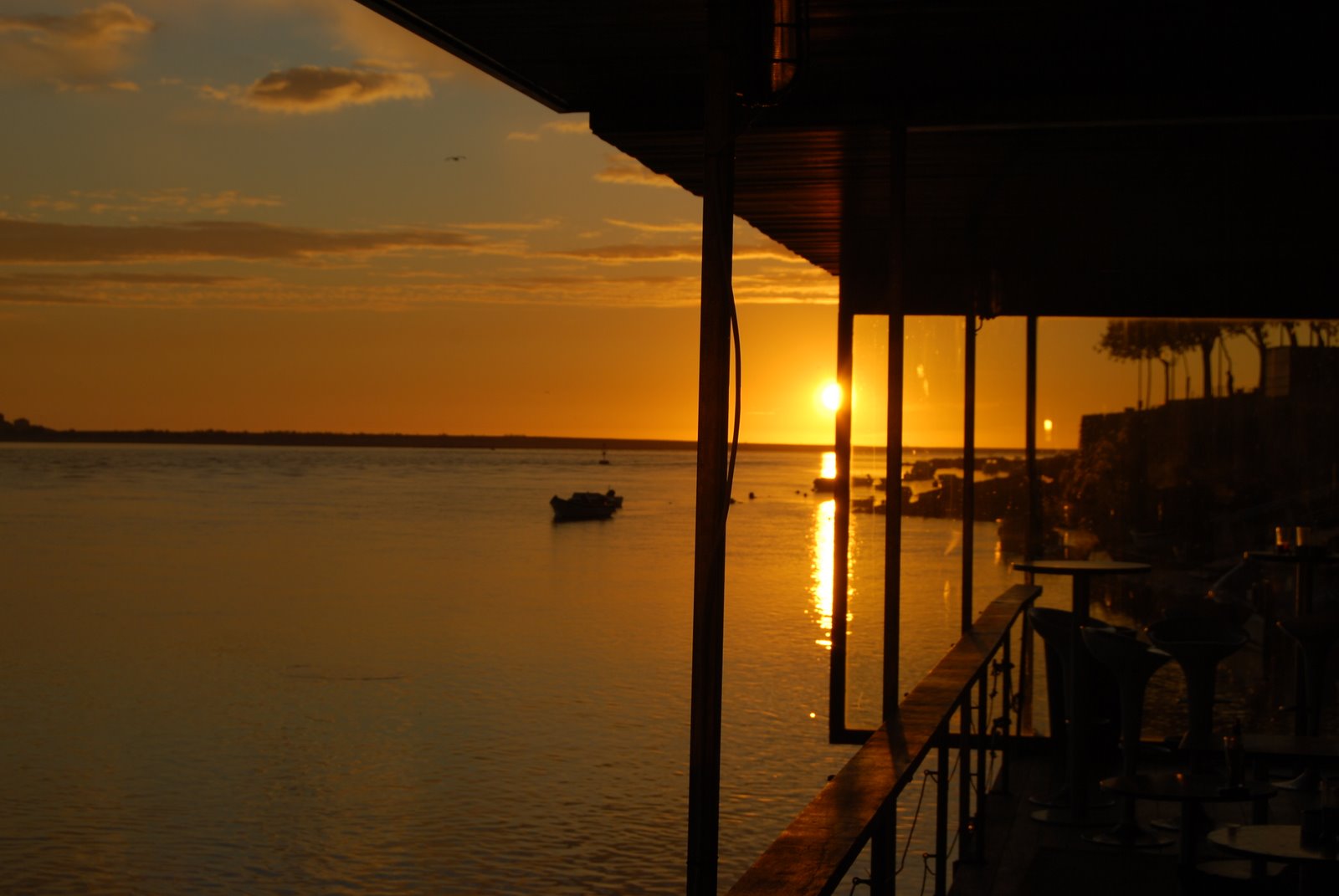 [DSC_0564.JPG]