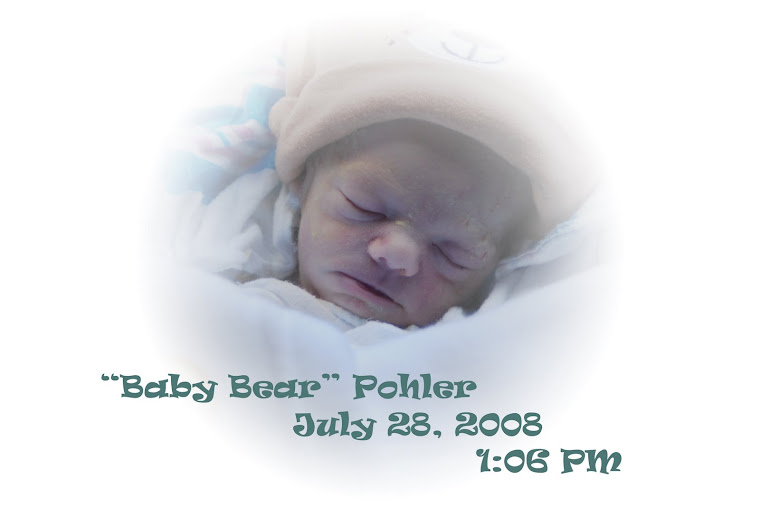 Baby Bear Pohler