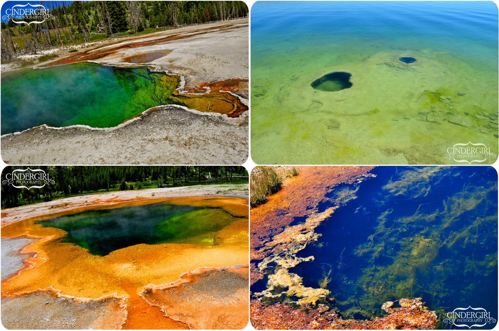 Fumarole Yellowstone
