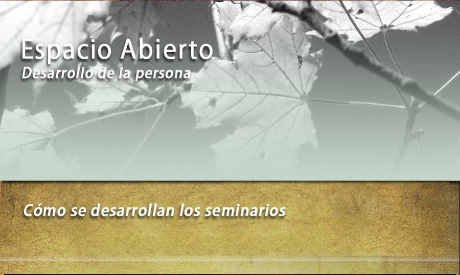 Cómo se desarrollan los seminarios