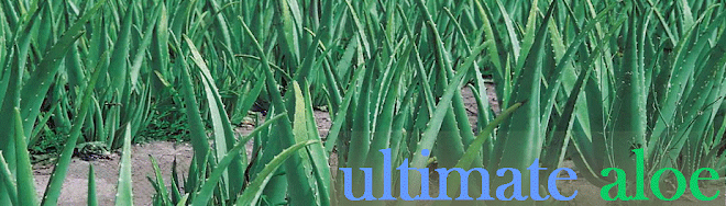 Ultimate Aloe - The Real Stuff!