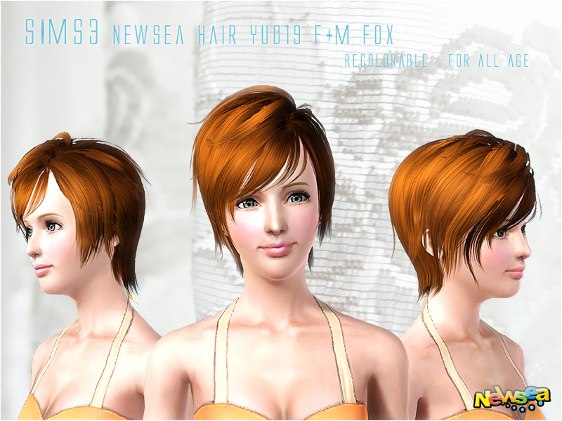 [7787bc251c3b791a8644f90e.jpg]